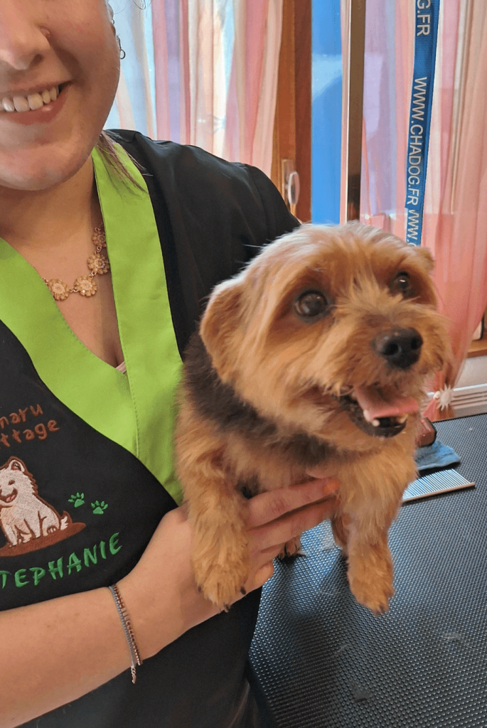 Stéphanie cajole le chien après la fin du toilettage